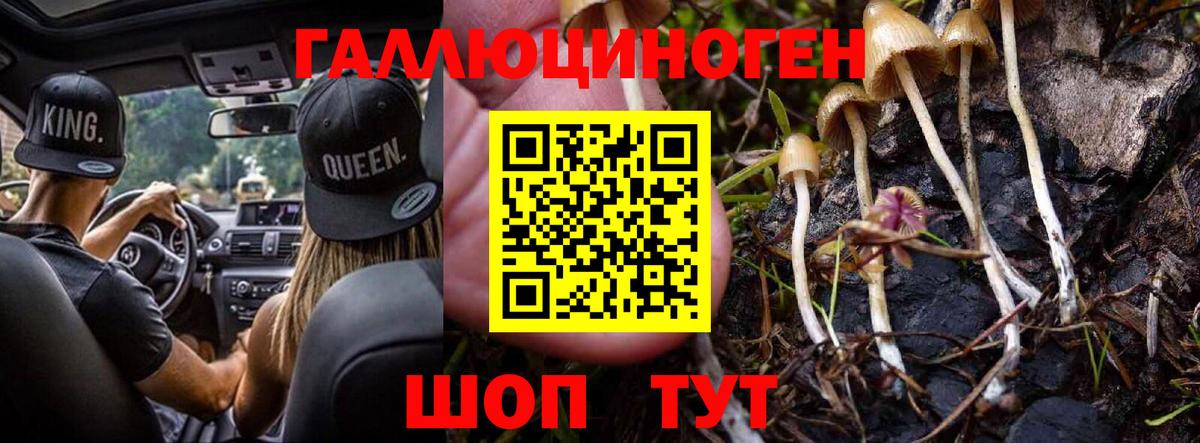Псилоцибиновые грибы Psilocybine cubensis Домодедово